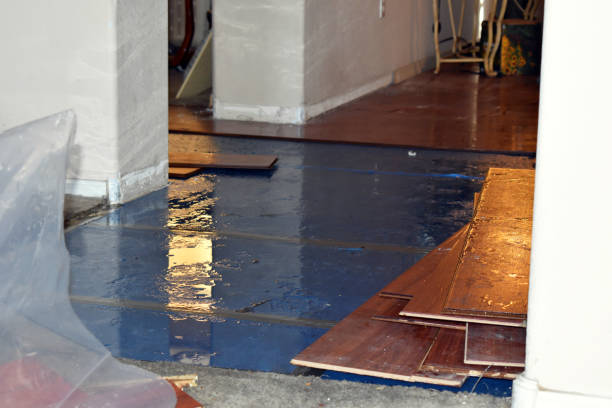 Professional Sewage Cleanup technician working in Custer, MI